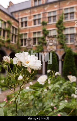 Museo Plantin-Moretus motivi, Anversa, Belgio Foto Stock