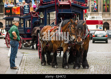 Cavallo e gite in carozza del distretto storico, Anversa, Belgio Foto Stock