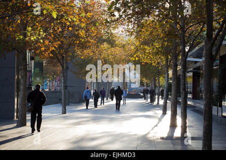 La mattina presto di andare a lavorare, Southbank, Melbourne, Australia Foto Stock