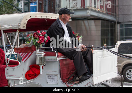 White Horse e carrello a Columbus Circle, New York City, Stati Uniti d'America Foto Stock