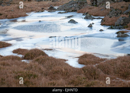 Modelli di ghiaccio a Est in Islanda in febbraio Foto Stock