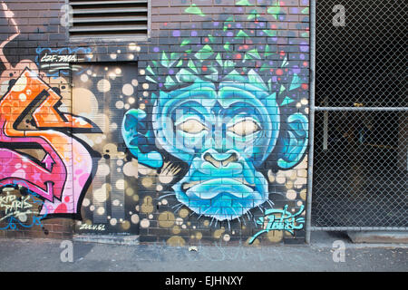 Graffiti - Botherambo Street, East Richmond, Melbourne, Australia. Immagine presa il 22 marzo 2015. Foto Stock