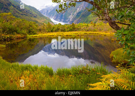 Effetto pittorica di vista dalla piscina Peters del Ghiacciaio Franz Josef e la foresta pluviale, Westland Tai Poutini National Park in Nuova Zelanda Foto Stock