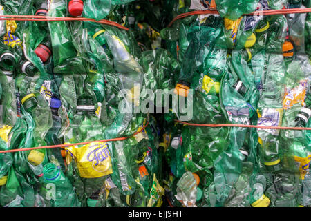 Bottiglie in plastica appiattite per il riciclaggio dei rifiuti di plastica Foto Stock