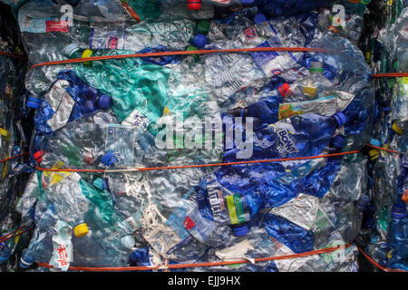 Bottiglie in plastica appiattite per il riciclaggio dei rifiuti di plastica Foto Stock