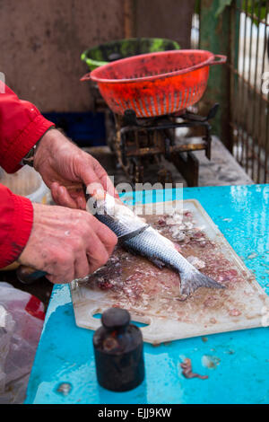 Primo piano al pescatore pulizia delle mani il fresco branzino pesce su un pezzo di legno in aria aperta a pescheria Foto Stock