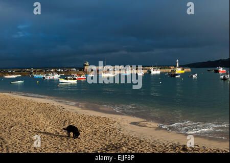 St Ives Harbour e Smeatons Pier Cornwall Inghilterra UK Europa Foto Stock