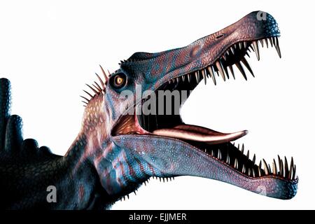 Spinosaurus (significato 'spine lizard') è stato probabilmente il più grande conosciuto il mangiar carne dinosauro. Essa è stata ancor di più rispetto a Tyrannosaurus Foto Stock