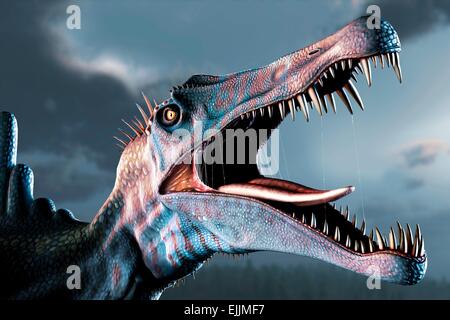 Spinosaurus (significato 'spine lizard') è stato probabilmente il più grande conosciuto il mangiar carne dinosauro. Essa è stata ancor di più rispetto a Tyrannosaurus Foto Stock