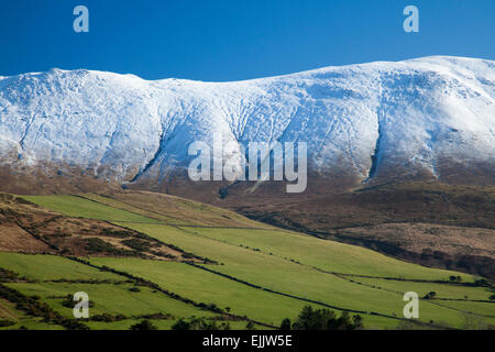 Caherconree montagna in inverno, Slieve Mish montagne, penisola di Dingle, nella contea di Kerry, Irlanda. Foto Stock