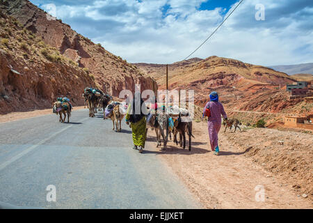 Dei berberi, cammelli e asini di trasporto dei materiali, il Dades gole, Marocco. Foto Stock