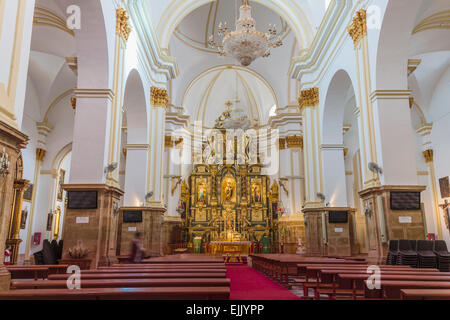 Marbella Costa del Sol, provincia di Malaga, Andalusia, Spagna meridionale. Interno di Nuestra Señora de la Encarnacion chiesa Foto Stock