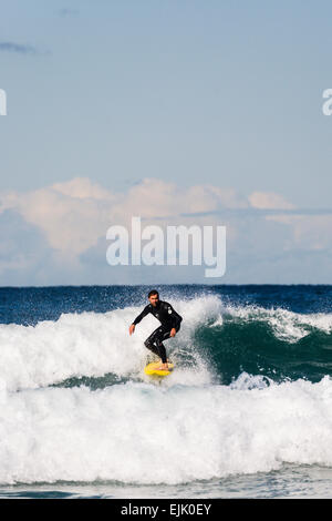 La spiaggia di Bondi, Sydney, Australia. Un uomo solitario cavalca un onda verso la spiaggia di Bondi su un giallo con la tavola da surf. Foto Stock