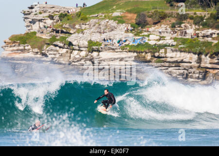 La spiaggia di Bondi, Sydney, Australia. Un uomo solitario cavalca un onda con scogliere dietro di lui. Foto Stock