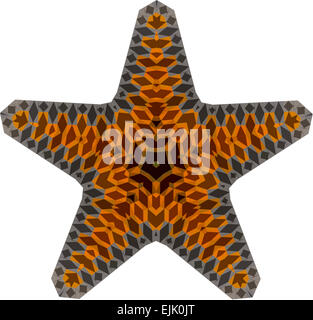 Una stella di colorati pesci illustrazione, impostato su uno sfondo bianco, Foto Stock