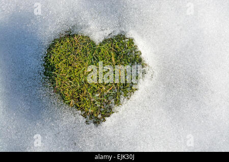 La fusione della neve a forma di cuore la molla amore concetto sfondo clima freddo relazioni. La Svezia. Foto Stock