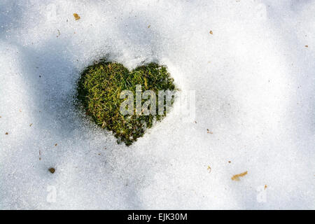 La fusione della neve a forma di cuore la molla amore concetto sfondo clima freddo relazioni. La Svezia. Foto Stock