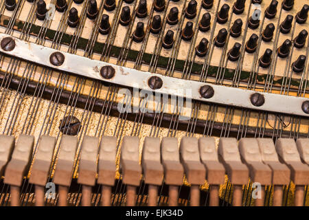 Vecchio pianoforte costruzione tedesca - i vari dettagli interni Foto Stock