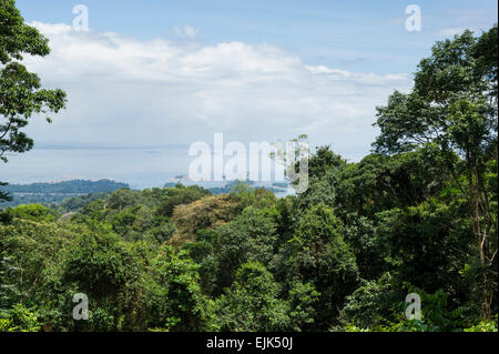 Vista sulla foresta pluviale e Brokopondo serbatoio, Brownsberg riserva naturale del Suriname Foto Stock