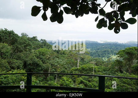 Vista sulla foresta pluviale e Brokopondo serbatoio, Brownsberg riserva naturale del Suriname Foto Stock