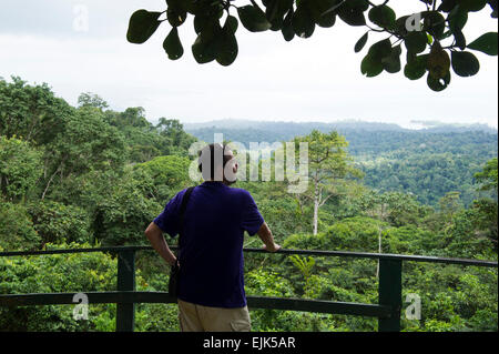 Per turisti in cerca sulla foresta pluviale e Brokopondo serbatoio, Brownsberg riserva naturale del Suriname Foto Stock