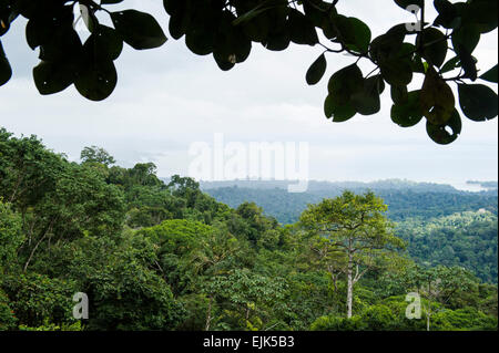 Vista sulla foresta pluviale e Brokopondo serbatoio, Brownsberg riserva naturale del Suriname Foto Stock