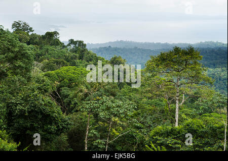 Vista sulla foresta pluviale e Brokopondo serbatoio, Brownsberg riserva naturale del Suriname Foto Stock