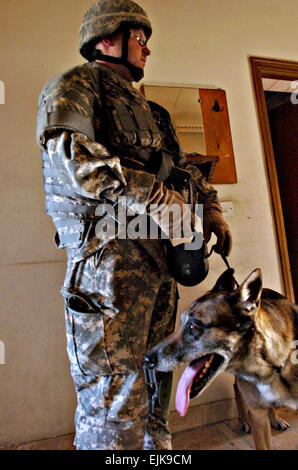 BAGHDAD - Malbern, arca. nativo e Air Force Staff Sgt. Jacob Holm, un militare di lavoro a Gestore del cane attaccato al 2° plotone, la società C, 1° Battaglione, 64th Armor reggimento, 2° Brigata Team di combattimento, terza divisione di fanteria, trattiene il guinzaglio di Zasko, durante una pattuglia di Western Baghdad ago 2. Zasko, un belga Malinois, è addestrato per rilevare i profumi di 11 armi di distruzione di munizioni comuni ai sofisticati materiali esplosivi. Spc. L.B. Edgar, 7 Mobile per gli Affari Pubblici del distacco Foto Stock