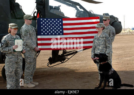 Spc. Shejal Pulivarti, 1° BCT, 1° Cav. Div. Affari pubblici Ottobre 15, 2007 Sgt. Jodi destra della pietra, una pattuglia di rilevatore di esplosivi gestore del cane attaccato alla sede centrale e sede di truppe, 1° "Ironhorse" Brigata Team di combattimento, 1° Divisione di cavalleria, richiesto un AH-64D elicottero Apache per la sua cerimonia reenlistment al villaggio Tomahawk, Camp Taji, Iraq Ott 10. Questo Stanwood, nello Stato di Washington detto nativo si guarda in avanti per ritornare a casa per la sua unità, il cinquantunesimo Polizia Militare di distacco, 42nd MP Brigata fuori di Fort Lewis, nello Stato di Washington con i suoi quattro anni di- vecchia, Esercito cane addestrato "Staff Sgt. Bengo.&q Foto Stock