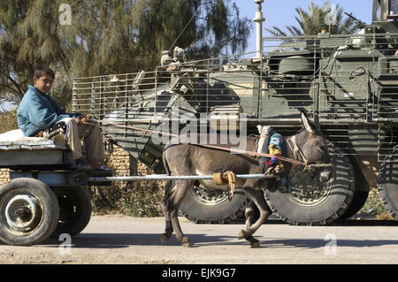 Un bambino iracheno aziona un asino kart passato un U.S. Army Stryker veicolo da combattimento dal Foxtrot Company, 52nd Reggimento di Fanteria, quarto Stryker Brigade Combat Team, seconda divisione di fanteria durante una pattuglia in Baqubah, Iraq, nov. 24, 2007. Il personale Sgt. Jason Robertson Foto Stock