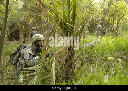 Stati Uniti I soldati dell esercito con terzo Stryker Brigade Combat Team chiara palmeti in Buhriz, Iraq, Marzo 20, 2007. Soldati del 5° Battaglione, ventesimo Reggimento di Fanteria, seconda divisione di fanteria, stanno conducendo le operazioni nella provincia di Diyala. Il personale Sgt. Stacy L. Pearsall Foto Stock