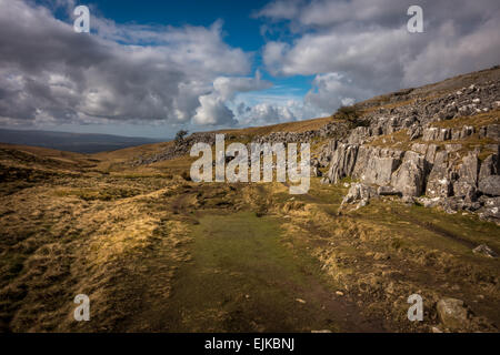 Viste torna giù il percorso da Ingleborough della pavimentazione di pietra calcarea , REGNO UNITO Foto Stock