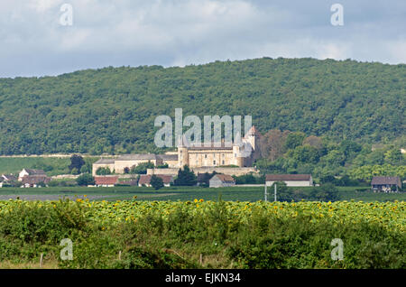 Un campo di girasoli e il Château de Rully visto dal Canal du Centre, Borgogna, Francia. Foto Stock