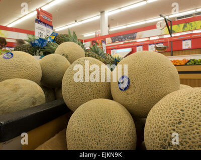 Pila di cantaloupes in un supermercato espositore. Foto Stock