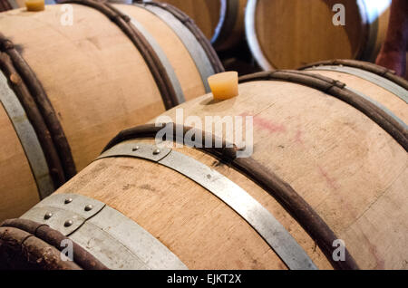 Botti di vino nelle cantine del Domaine de la Folie, una vigna vicino a Chagny nella Côte Chalonnaise della Borgogna, in Francia. Foto Stock