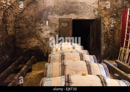 Invecchiamento del vino in botti nelle cantine del Domaine de la Folie, una vigna vicino a Chagny nella Côte Chalonnaise della Borgogna, in Francia. Foto Stock