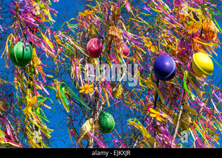 Un albero colorato decorato, uova di Pasqua, tradizioni, vacanze, Piazza della Città Vecchia Praga albero di Pasqua Repubblica Ceca Birch Tree Foto Stock