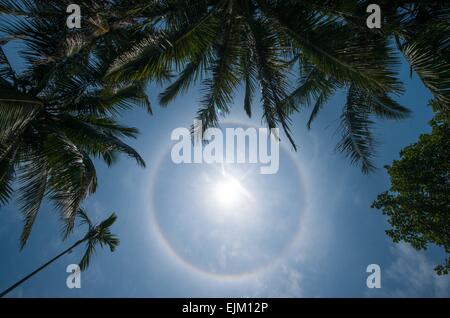 Boao, cinese della provincia di Hainan. 29 Mar, 2015. Alone solare appare nel cielo sopra Boao dove il 2015 Forum Boao per l'Asia (BFA) avviene, a sud della Cina di Hainan Provincia, Marzo 29, 2015. Credito: Shen Hong/Xinhua/Alamy Live News Foto Stock