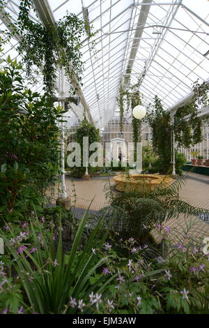 Interno del Wentworth i giardini del castello di conservatorio, Barnsley, South Yorkshire, Regno Unito. Immagine: Scott Bairstow/Alamy Foto Stock