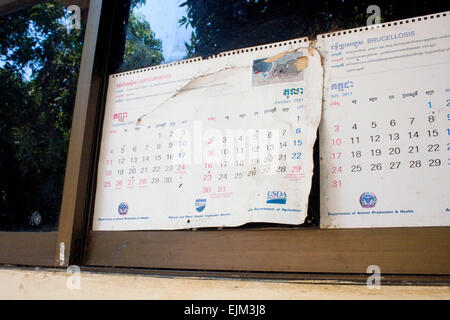 4 anno di età le pagine del calendario sono attaccati ad un finestra in aula presso l'Università di Agricoltura in Kampong Cham, Cambogia. Foto Stock