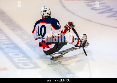 ORENBURG, regione di Orenburg, Russia - 7 February 2015: prestazioni pubbliche Orenburg ice sledge hockey club 'falchi' nel quadro del tutto-russo giornata di sport invernali, dedicata all'anniversario della XXII Giochi Olimpici Invernali e XI Giochi Paralimpici Invernali del 2014 in Sochi Foto Stock