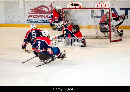 ORENBURG, regione di Orenburg, Russia - 7 February 2015: prestazioni pubbliche Orenburg ice sledge hockey club 'falchi' nel quadro del tutto-russo giornata di sport invernali, dedicata all'anniversario della XXII Giochi Olimpici Invernali e XI Giochi Paralimpici Invernali del 2014 in Sochi Foto Stock