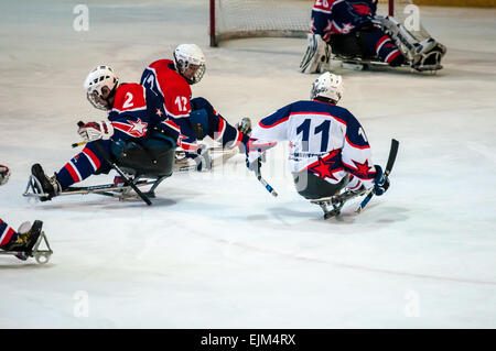 ORENBURG, regione di Orenburg, Russia - 7 February 2015: prestazioni pubbliche Orenburg ice sledge hockey club 'falchi' nel quadro del tutto-russo giornata di sport invernali, dedicata all'anniversario della XXII Giochi Olimpici Invernali e XI Giochi Paralimpici Invernali del 2014 in Sochi Foto Stock