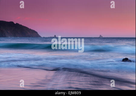 Cielo rosa al tramonto sopra la spiaggia Whaleshead nella Samuel Boardman membro Scenic corridoio lungo la costa dell'Oregon, Oregon, Stati Uniti d'America. Foto Stock