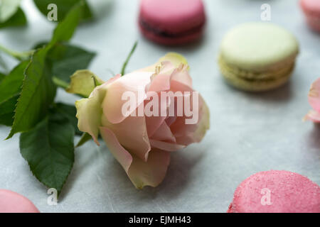 Color pastello macarons francesi ancora in vita con rose Foto Stock