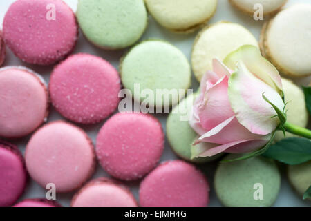 Color pastello macarons francesi ancora in vita con rose Foto Stock