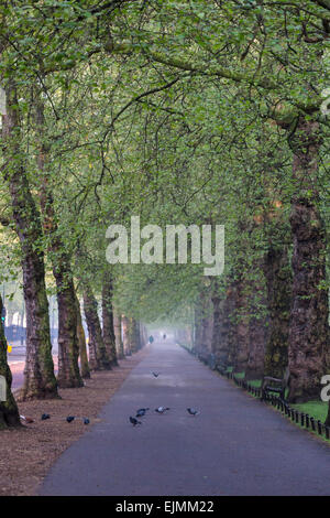 Gabbia per uccelli a piedi, il St James Park, Londra Foto Stock