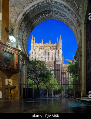 Cattedrale di Siviglia di notte dalla porta del perdono ex moschea almohade gate e il Patio de los Naranjos arance corte Foto Stock