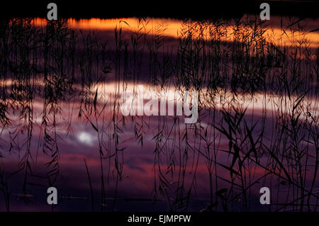 La Polonia , estate..che riflette il cielo di sera nell'acqua.in acqua si possono vedere laghi bellissimi colori del cielo e la riflessione Foto Stock