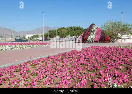 Letto di fiori nella città di Fujairah, Emirati Arabi Uniti Foto Stock